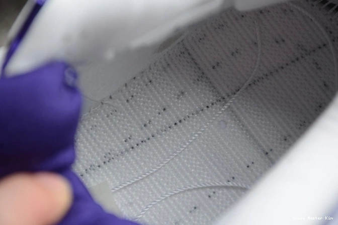 Purple Jordan Air Court CT8527-115 4 0606